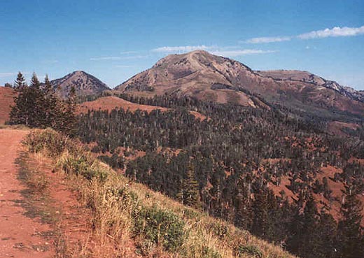 Bald Mountain viewed from Monument trailhead area