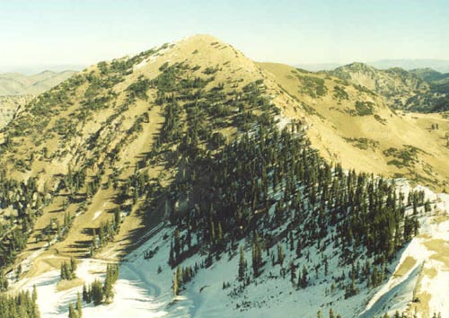 Typical view of Mt. Baldy from top of Hidden Peak (Snowbird Tram)
