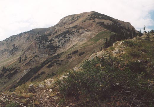 Mt. Baldy viewed from north ridge