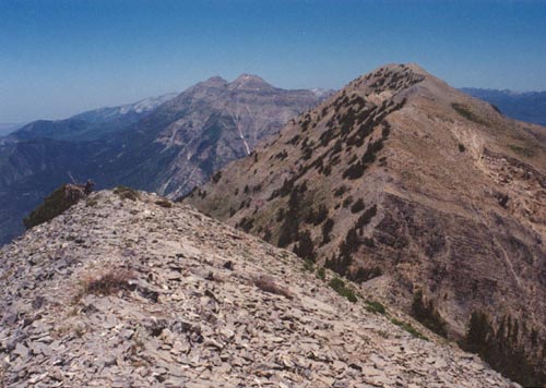 From south summit (10,761') looking north to true summit (10,908') and Mt. Timpanogos in distance