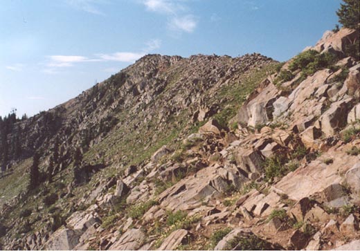 Nearing the summit of Clayton Peak via the north ridge