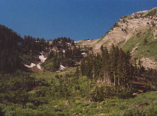 Gobblers Knob to the right, from Alexander Basin meadow