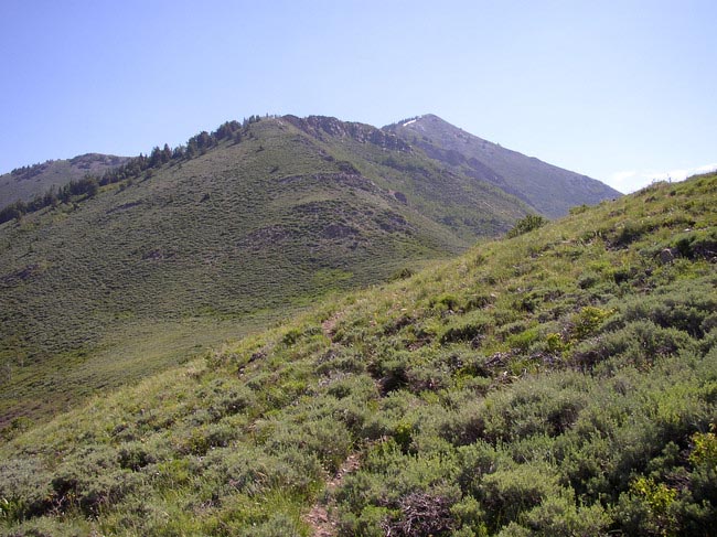 West Ridge of Lewiston Peak from about 9,100 feet