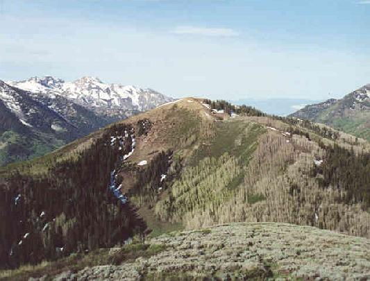 View west from Little Water area over Reynolds Peak down Big Cottonwood Canyon