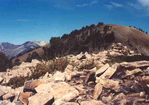 Mill Canyon Peak summit from south ridge