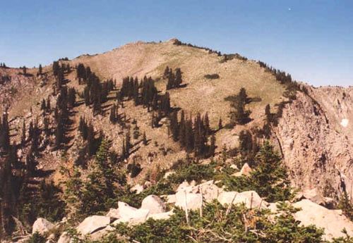 Mt. Wolverine's broad east slope from Mt. Millicent summit