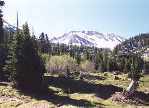 Red Baldy viewed from White Pine trail