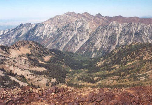 From summit looking down White Pine Canyon to Cottonwood Ridge