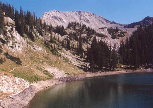 Red Pine Lake and White Baldy